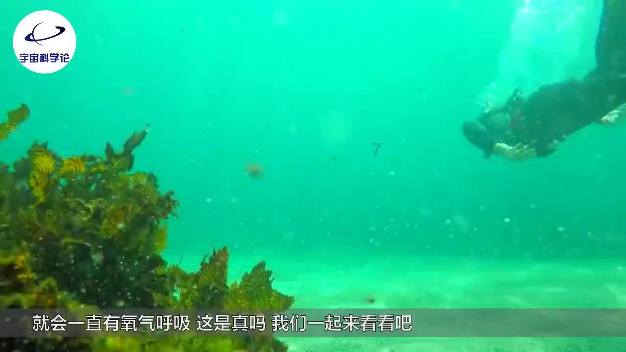 京东养车vs途虎养车 谁更低价?