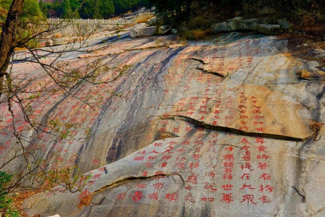 狂奔的忍者2