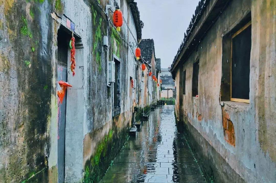 小艾比模仿秀